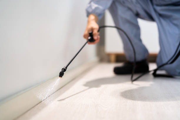 Licensed Pest Control service in Homestead Meadows South, TX - Show Me Pest Control