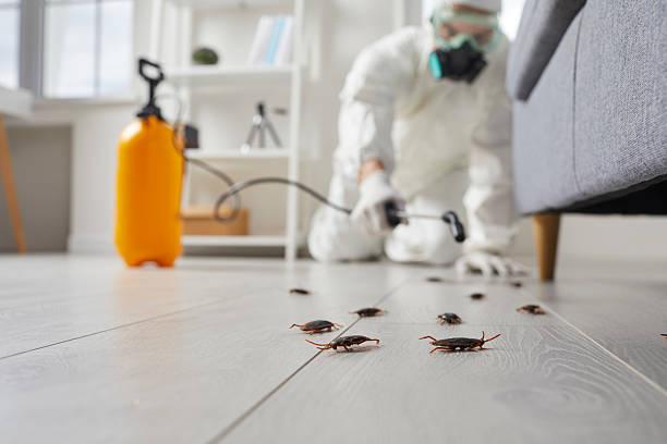 Post-Treatment Bed Bug Interceptor Monitoring in Homestead Meadows South