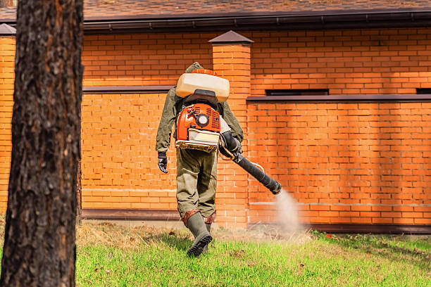 Bed Bug Clearance Verification and Documentation in Homestead Meadows South